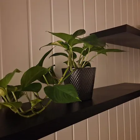 Nord Hus Service As, Deluxe, Sauna, Jakuzzi Appartement *