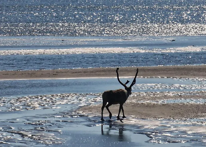 Nord Hus Service As, Deluxe, Sauna, Jakuzzi Havøysund